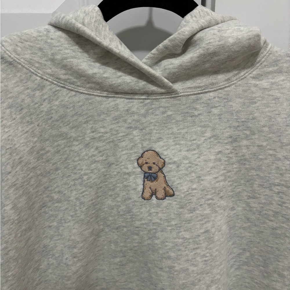Hollister Light Gray Hoodie